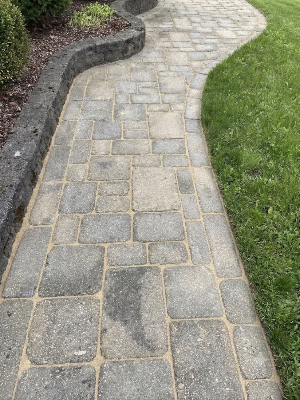 Rénovation complète d’une pelouse — après